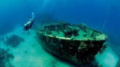 ​亚马逊河全部水怪亚马