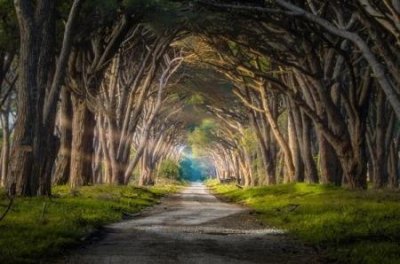 ​广州燕子岗灵异事件 男