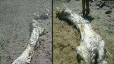 ​古时候帝王的寿命有多