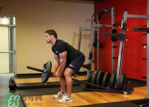 杠铃划船腰疼是什么原因?杠铃划船动作要领 杠铃划船腰疼是什么原因?杠铃划船动作要领