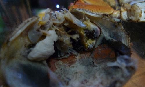 螃蟹里黑色的是屎吗浆糊