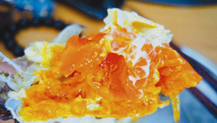 螃蟹里黑色的是屎,螃蟹的蟹黄是屎吗图4