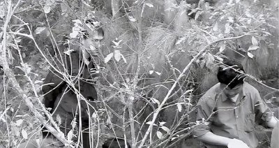 ​俄狄浦斯情结是什么意