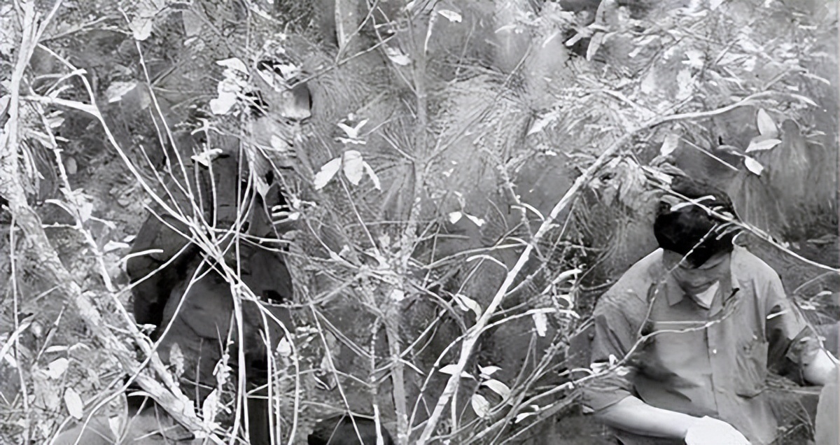 心理学:畸形的恋母情结到底有多可怕?看完这个案例你就明白了