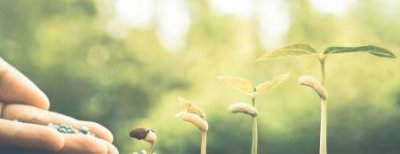 ​熊出没第92集有鬼吗？第