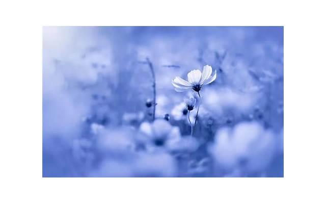 男方提出离婚女方不同意可不可以离婚 男方提出离婚女方不同意可不可以离婚