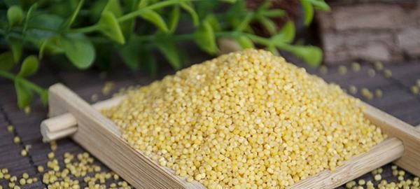 栗米和粟米有什么分别,中国的米有很多的品种吗图9