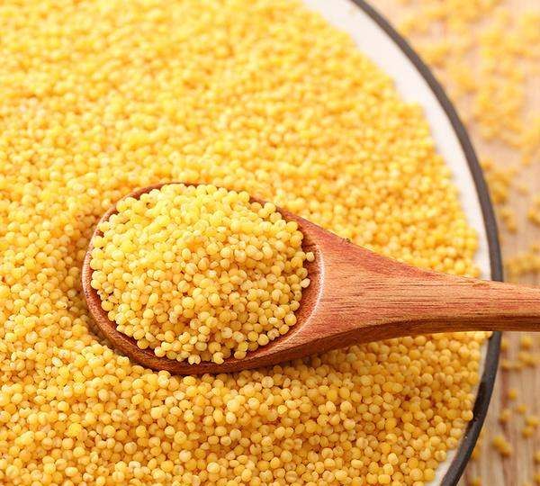 栗米和粟米有什么分别,中国的米有很多的品种吗图3