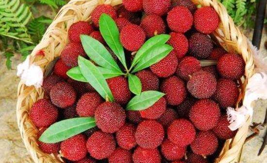 怎么洗杨梅汁染色的衣服,衣服弄到杨梅汁怎么洗图6