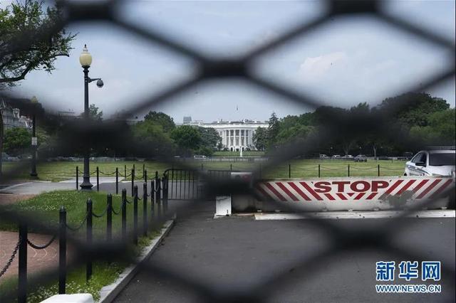 黑人的身体天赋有多强(黑人的命也重要)(6)