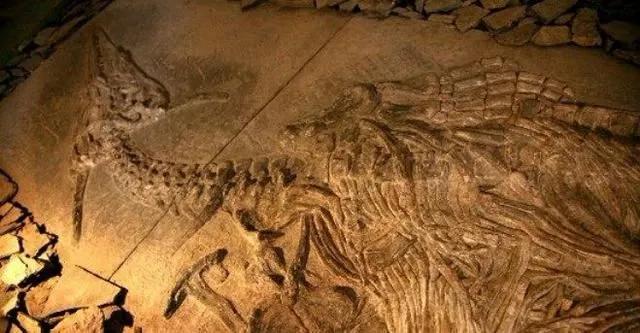 龙到底是存在还是传说(这些证据表明可能性很高)(11)