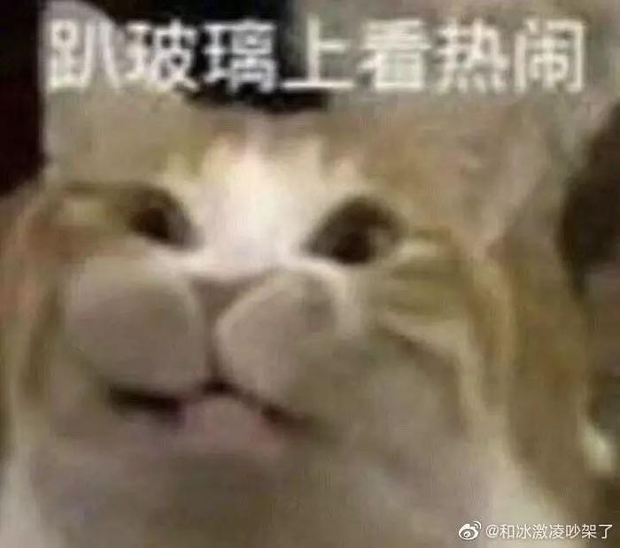 凭实力刷屏!才女武亦姝,高考613分被清华录取,她是理科生