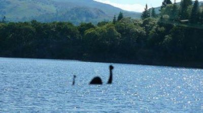 ​尼斯湖水怪是什么动物