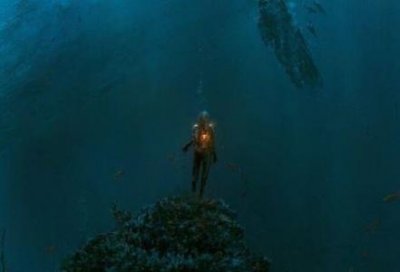 ​蓝鲸个头有多大？心脏像个小汽车，舌头能站50人，音量大得超飞机