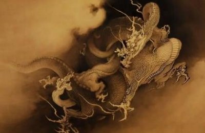 ​世界上最大的蜘蛛，一顿饭吃一只鸡