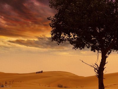 ​楼兰美女之谜：解开古代干尸的身份与楼兰城的关联