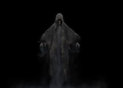 ​属虎的几月出生最好命