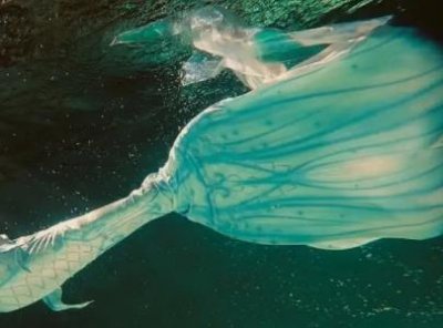 ​人死后会变成什么？人