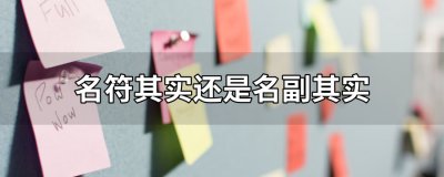 ​名符其实还是名副其实