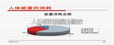 ​人体消耗能量的顺序