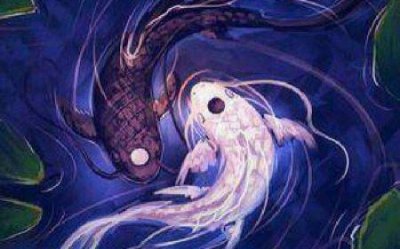 ​世界最美泰拳女王 伊卡