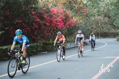 ​惠州红花湖景区：9月起