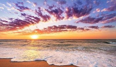 ​人没有目标和咸鱼有什