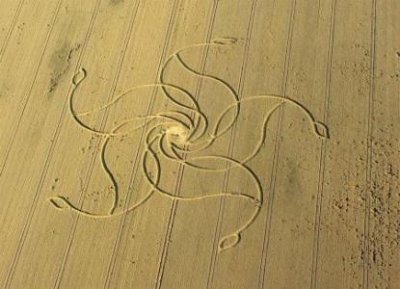 ​巨滑舌鱼是什么鱼?多少钱一斤?