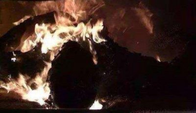 ​地球上十大最美花海个个让人流连忘返景色美丽