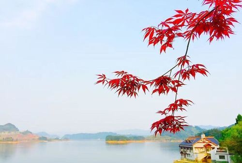 一湖金水欲溶秋的意思是什么