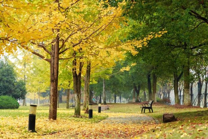 挽留感情（挽留一段感情的五个技巧）