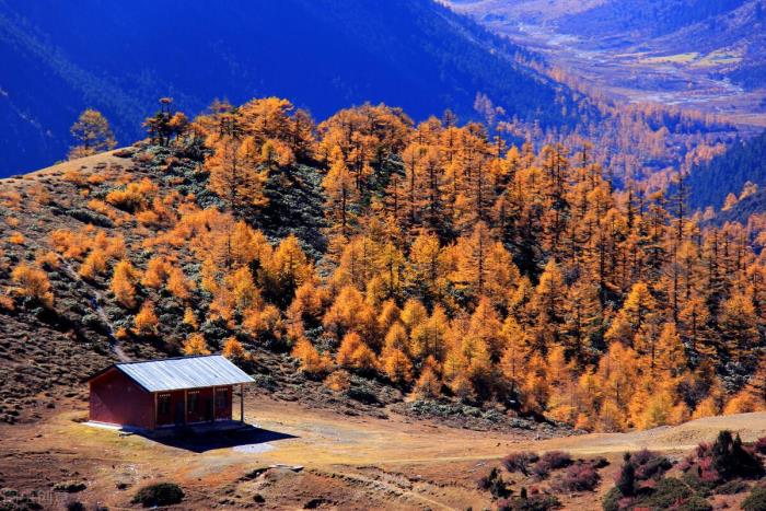 挽留感情（挽留一段感情的五个技巧）