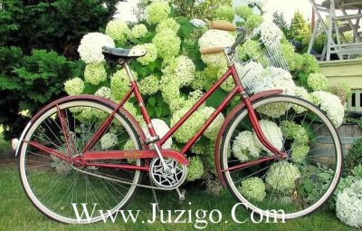 ​又到了期末考试的时候说说又到了学期末说说(精选23句)