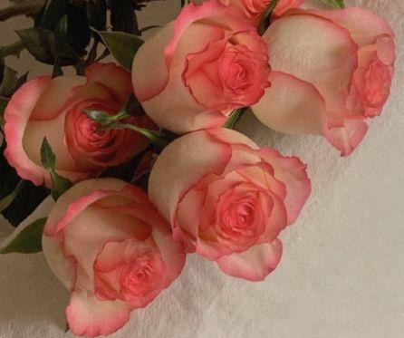 适合发朋友圈的纹眉句子 纹眉想发朋友圈的文字