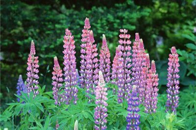 ​纹眉想发朋友圈的文字 适合发朋友圈的纹眉句子