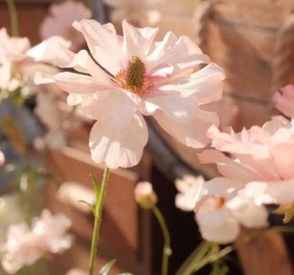 发朋友圈表白女朋友的句子 晒男朋友照片的说说