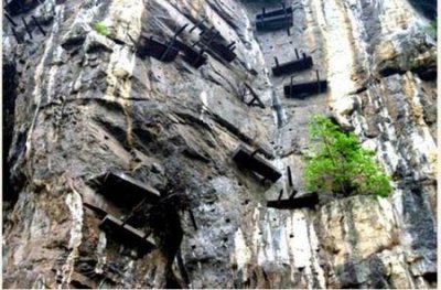 ​水中游得最快的鱼类，旗鱼游速可达到每秒30.4米比轮船快几倍