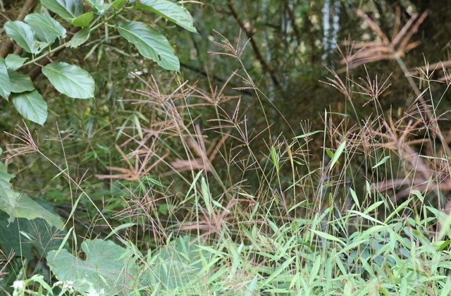 寓意满满的小众昵称(共82个)