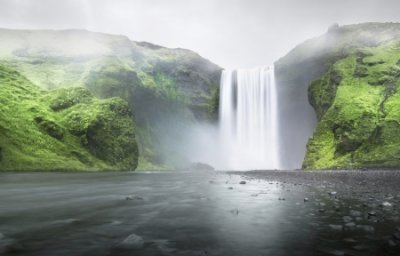 ​宠物个性名字大全精选136个