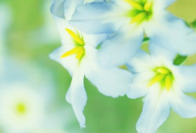 ​成熟有深度内涵网名 有内涵成熟幽默的网名