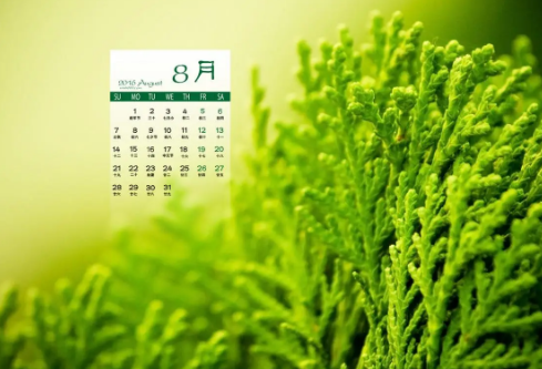 1692977305341973.png image.png