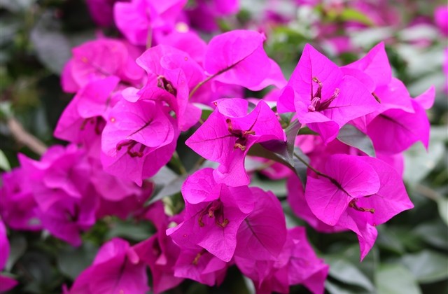 最寂寞的网名 内心孤独寂寞的网名