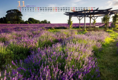 ​仙气十足的战队名字(精选73个)