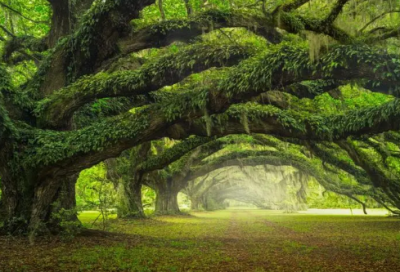 ​独一无二的快手昵称(69个)