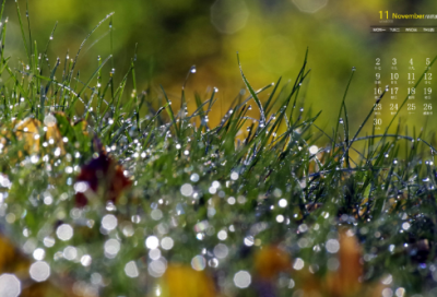 ​王者荣耀名字稀有漂亮符号333个