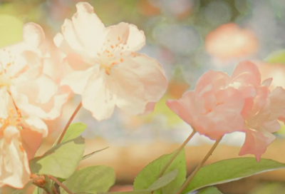 ​独特好听微信名字大气