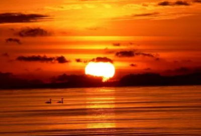 ​好的网游名字