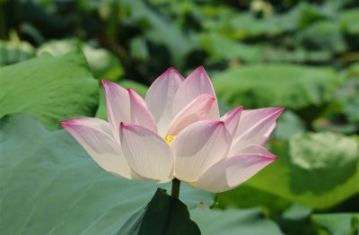 ​有个性的游戏名字精选(优选361个)