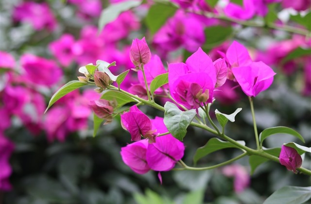 有个性的游戏名字精选(优选361个)