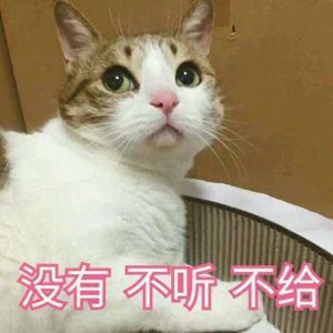 ​盘点公猫冷知识，看完奇怪的知识又增长了！